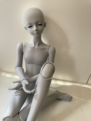 Luts msd bliss resin bjd - luts, puppe