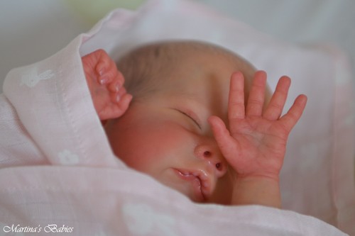 Martina babies reborn - martina's,