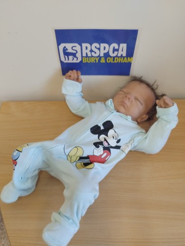 Ashton drake reborn baby puppe - ashton,