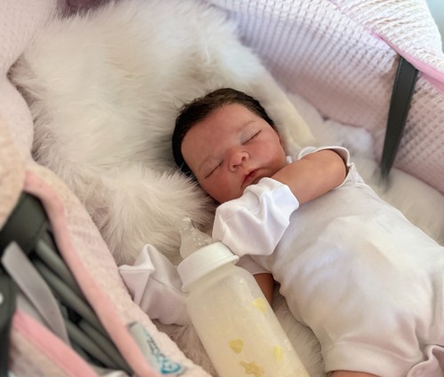 Reborn fake baby life like - reborn,