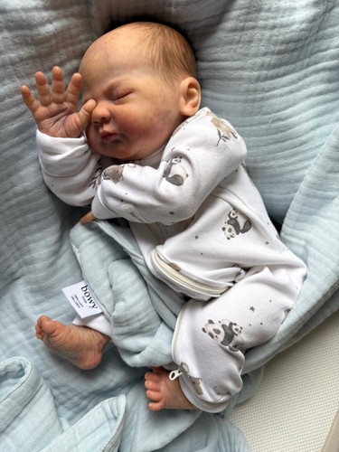 Schöne handbemalte reborn - schöne,